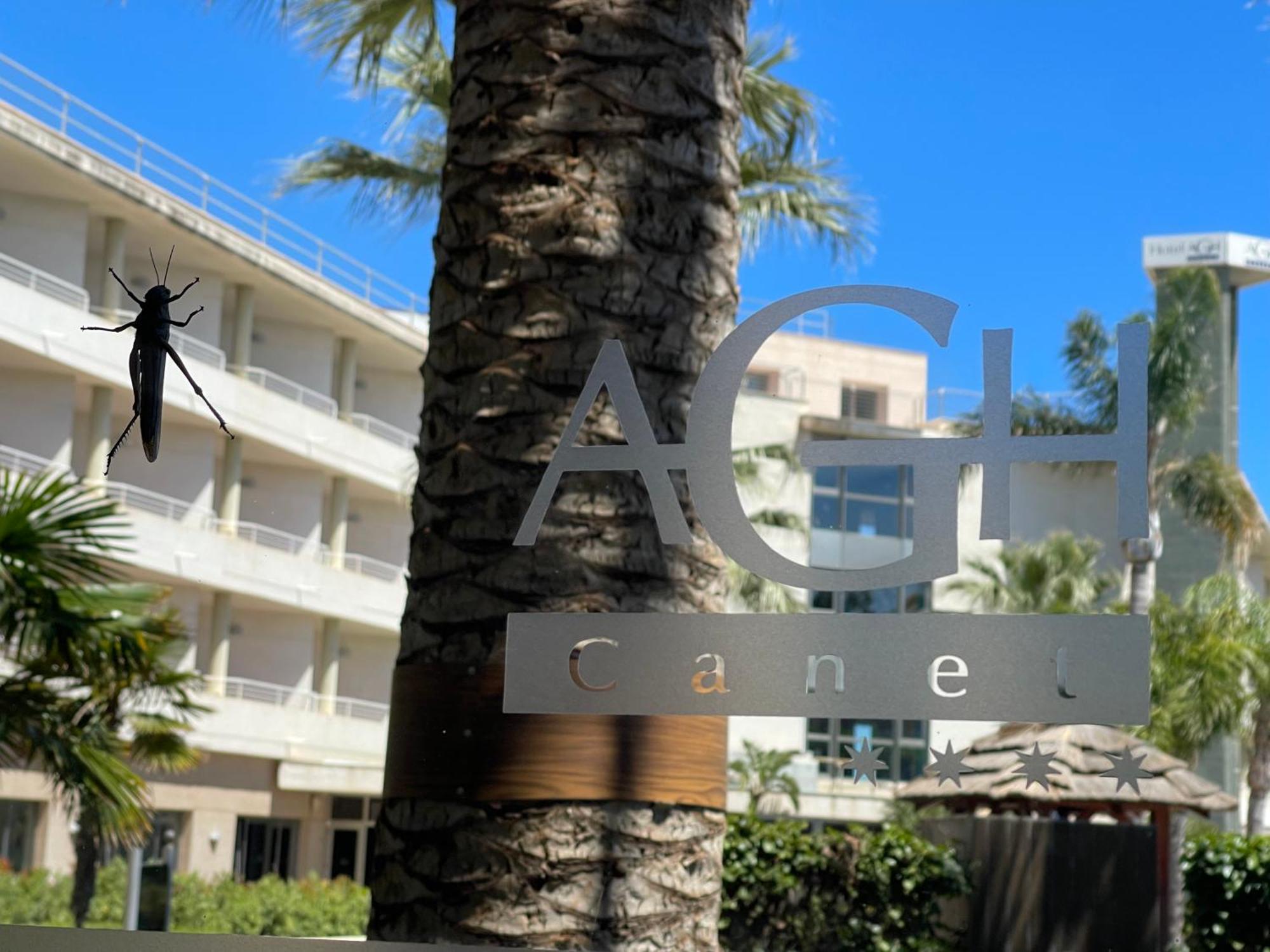 Agh Canet Canet d'En Berenguer Εξωτερικό φωτογραφία